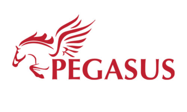 Pegasus